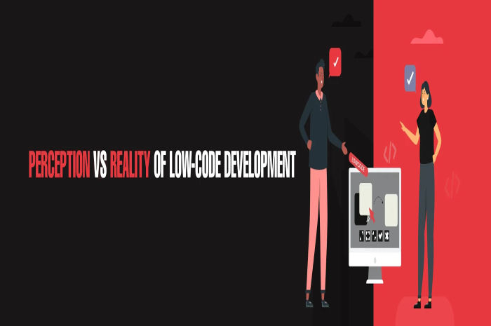 Perception vs. Reality of Low-Code Development